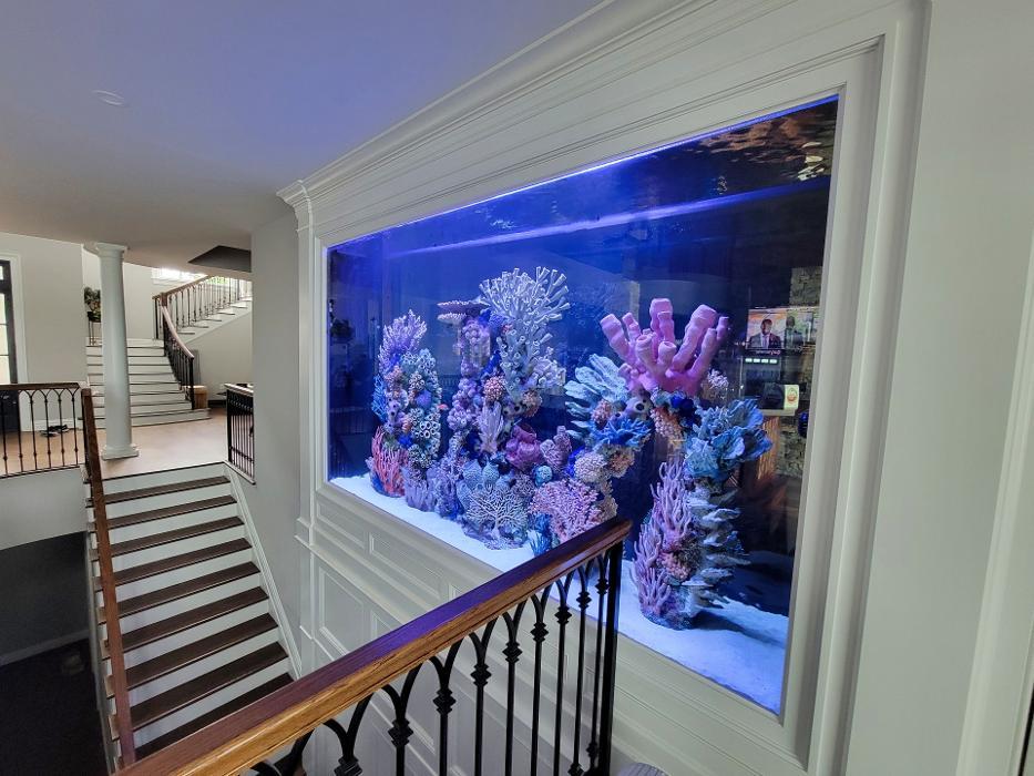 Aqua Creations I Custom Aquariums and Maintenance