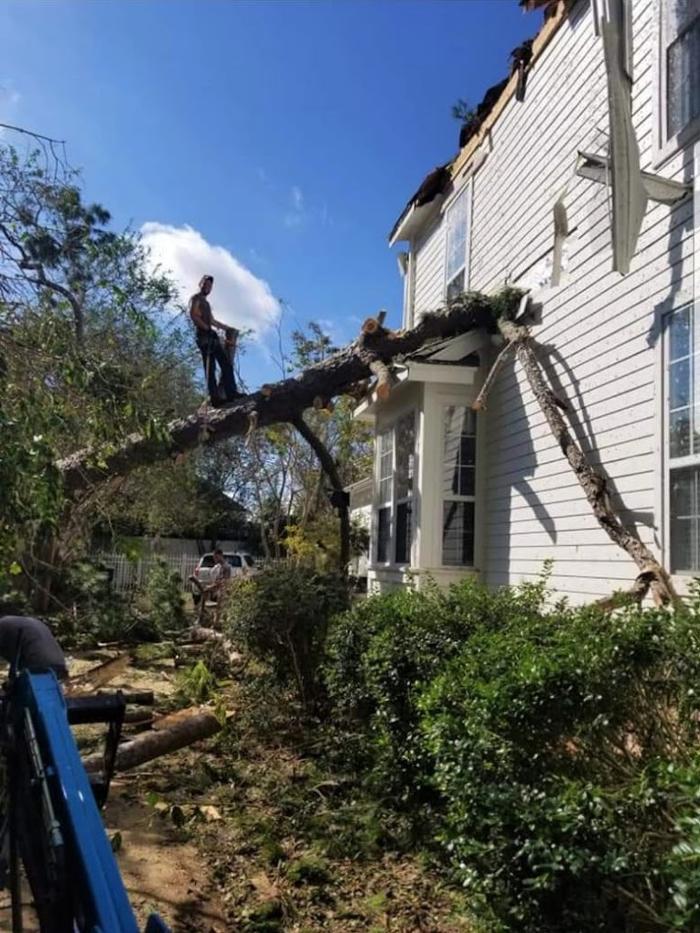 Choppers Tree Service