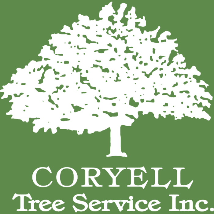 Coryell Tree Service